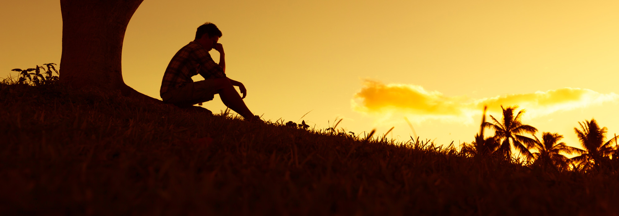 Understanding Bereavement